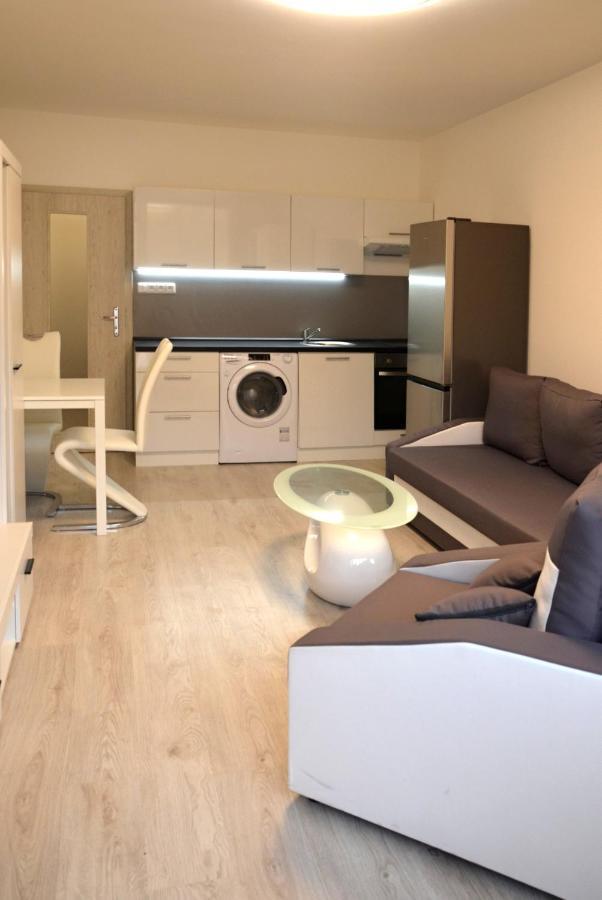 Utulny Apartman V Centru, S Krasnym Vyhledem ديشين المظهر الخارجي الصورة