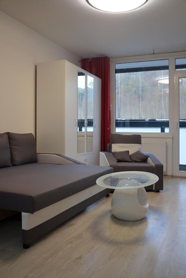 Utulny Apartman V Centru, S Krasnym Vyhledem ديشين المظهر الخارجي الصورة