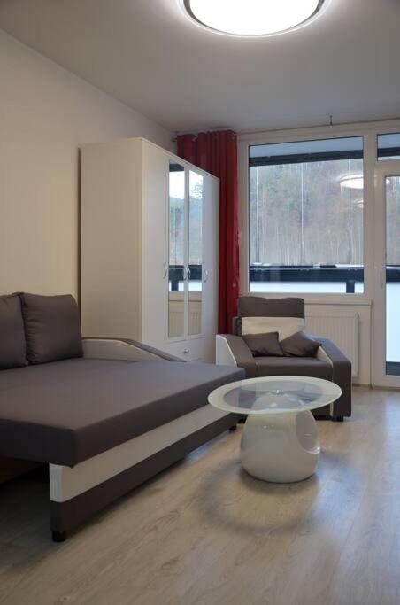 Utulny Apartman V Centru, S Krasnym Vyhledem ديشين المظهر الخارجي الصورة