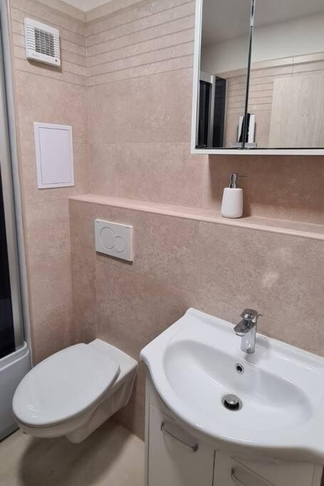 Utulny Apartman V Centru, S Krasnym Vyhledem ديشين المظهر الخارجي الصورة