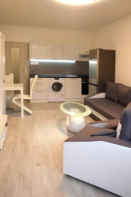 Utulny Apartman V Centru, S Krasnym Vyhledem ديشين المظهر الخارجي الصورة